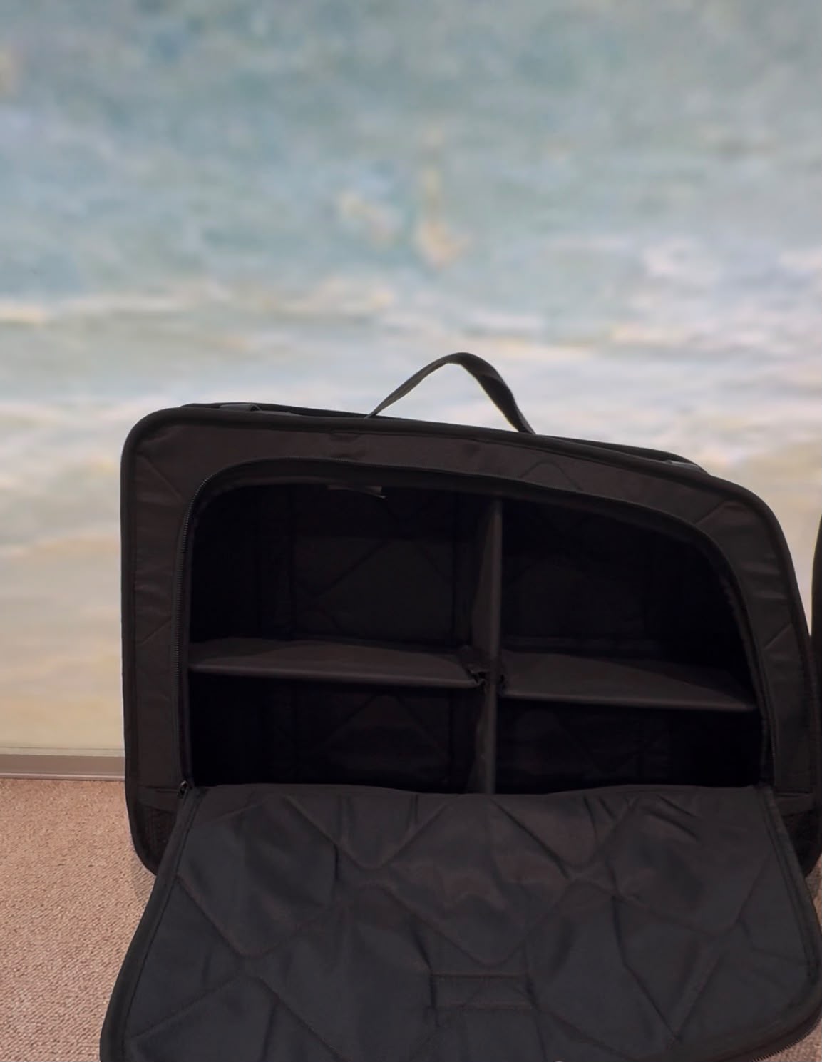 Window bags - VW ID.BUZZ short or long wheelbase