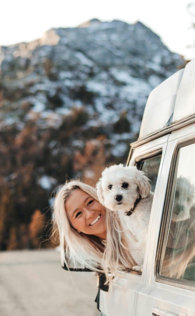 Campzilla Shop Campen mit Hund rikke hembre