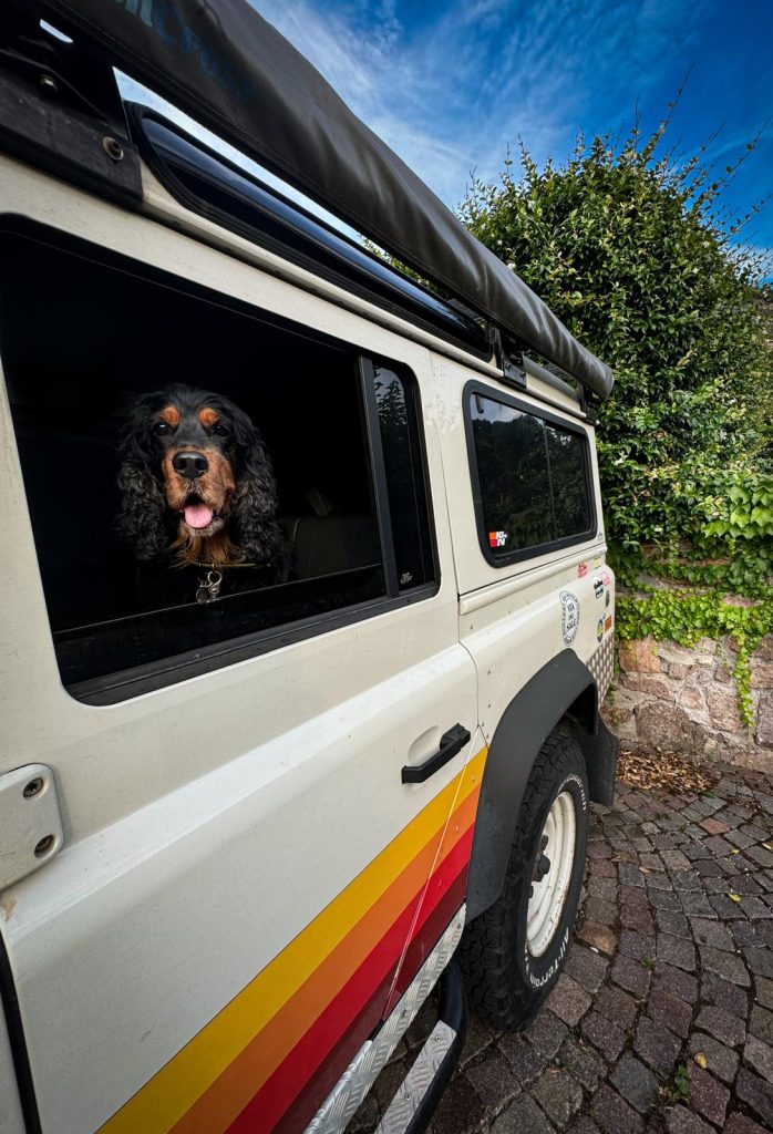 Campzilla Shop Cockerspaniel Defender