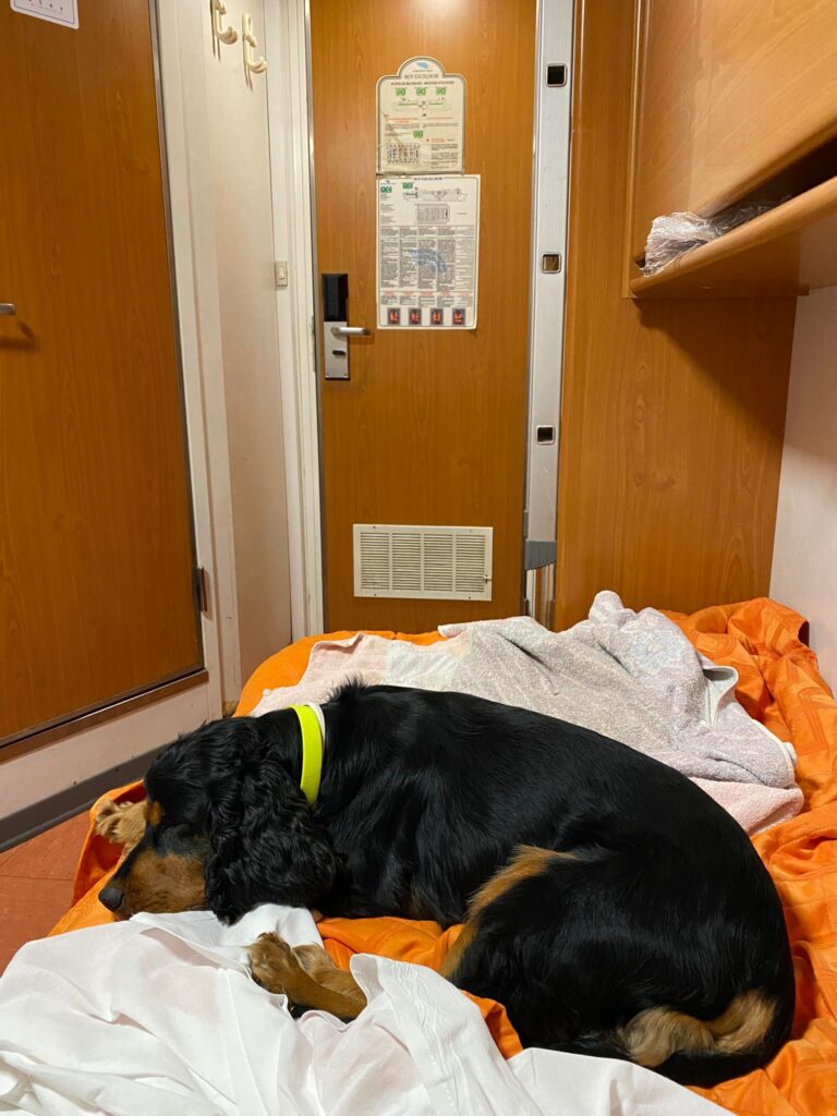 Fahre mit Hund Sizilien Hundekabine